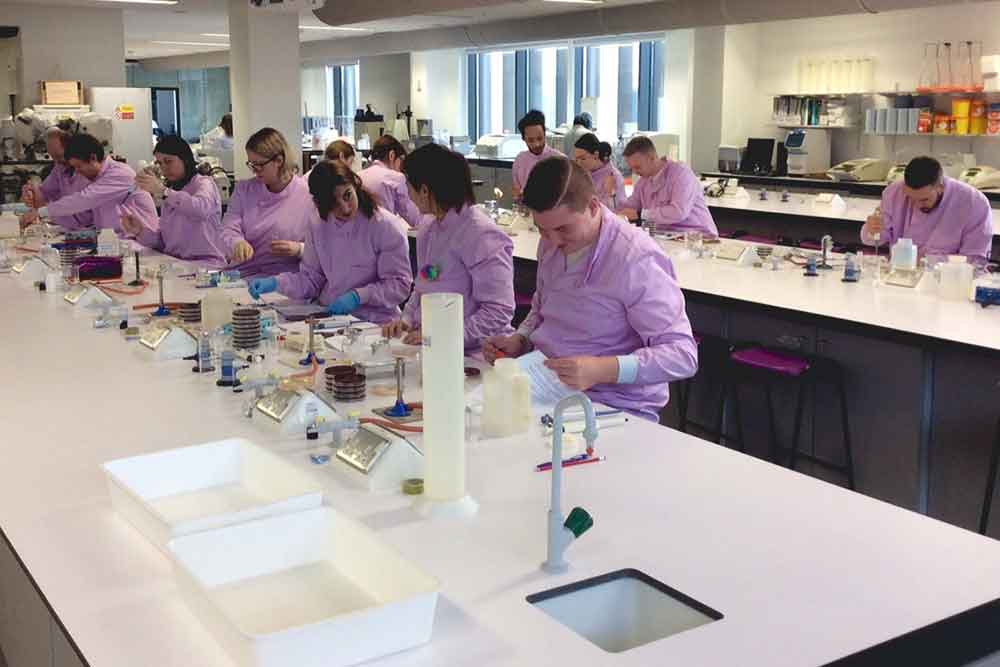Feature image for Apprenticeship students attend healthcare science study day