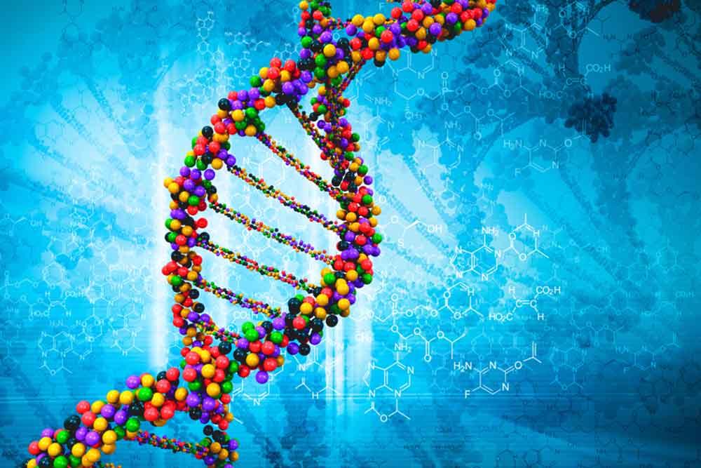 Feature image for Explore Whole Genome Sequencing from 19th September