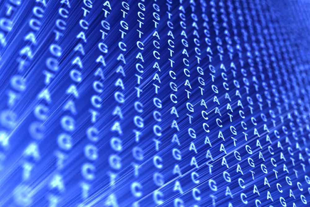 Feature image for Genomic testing for rare disease: learn with the experts