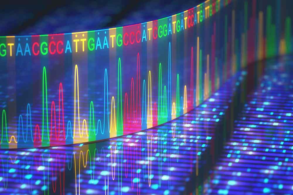Feature image for Recap on the fundamentals of genomics