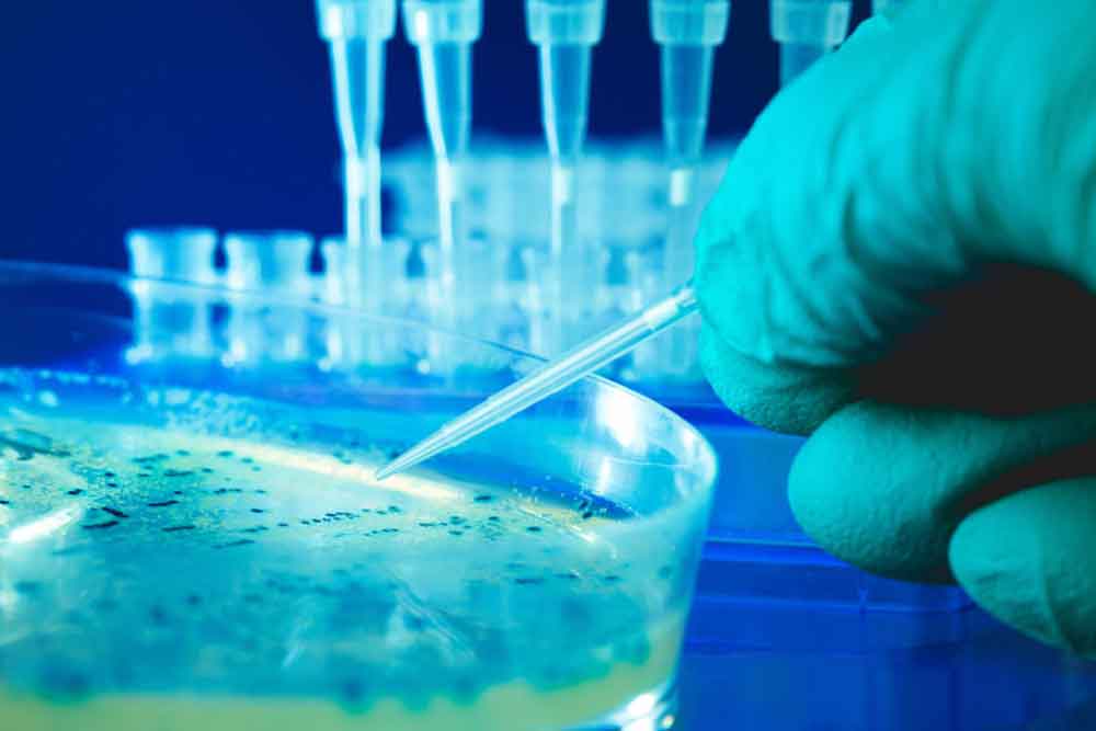 Feature image for Opportunity for scientist to join the Pathology Portal’s Operational Delivery group