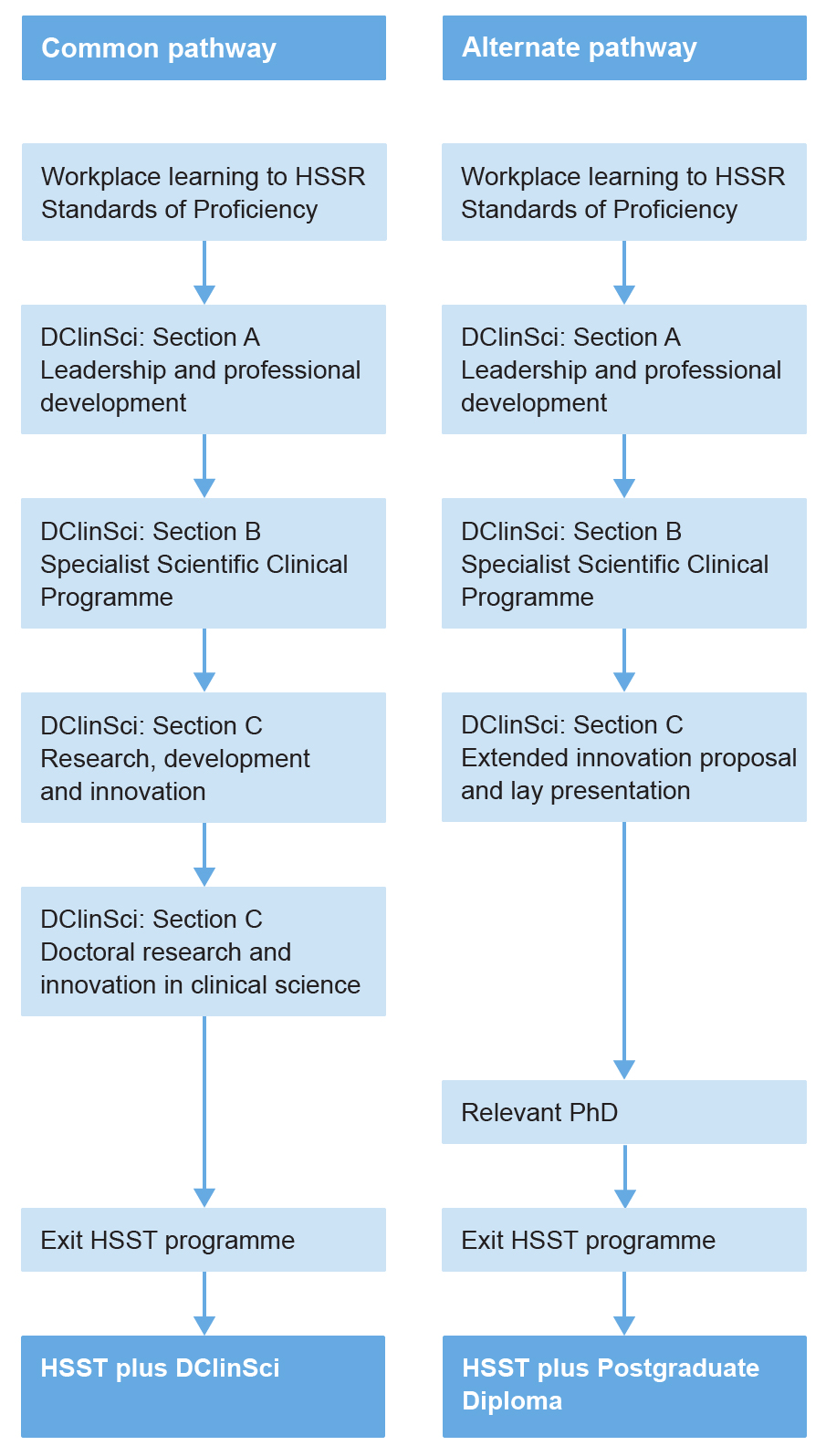 HSST-Physical-sciences-pathway-2023 Graphic showing the HSST Physical and Physiological Sciences pathway