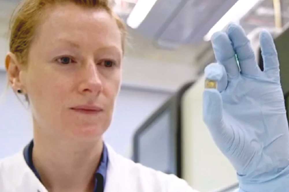 Feature image for New introductory genomics videos