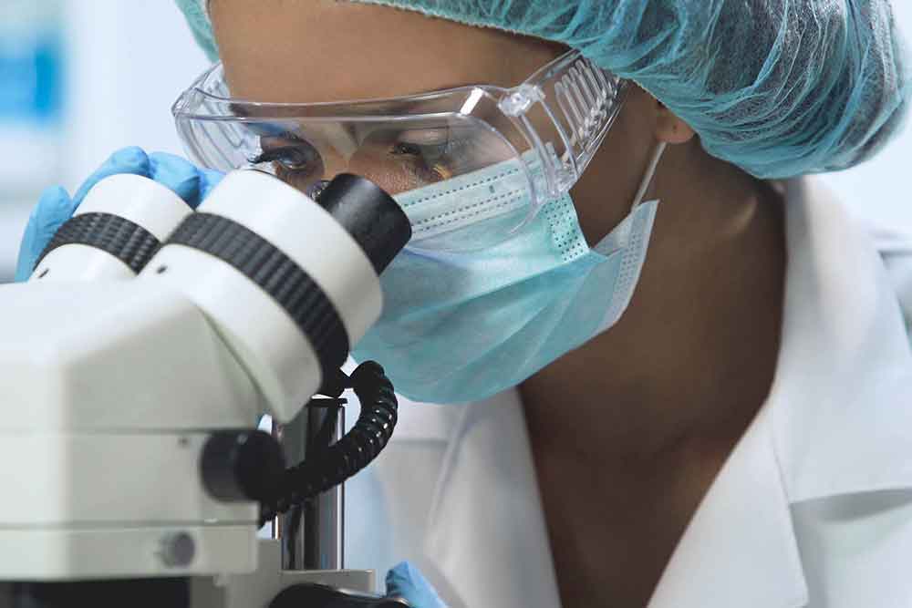 Feature image for Increase in Scientist Training Programme applications