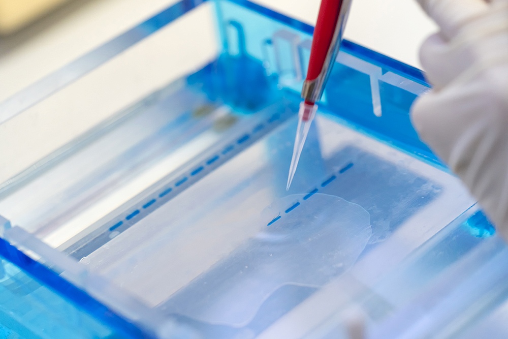Feature image for Genomics Training Academy Recruitment