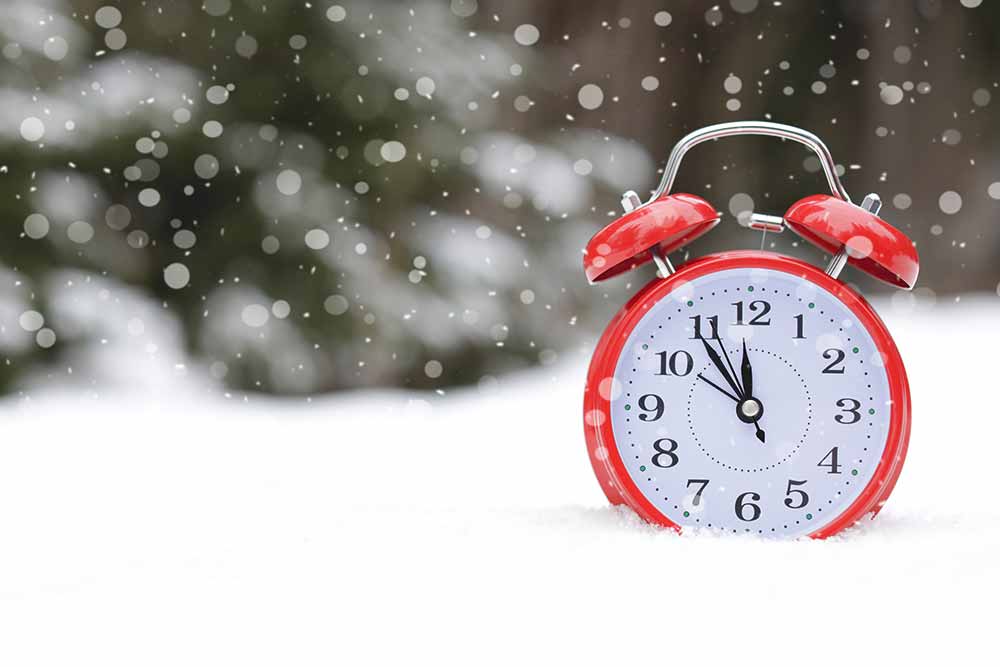 Feature image for Christmas and New Year opening times at the School