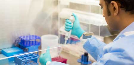 Feature image for Supporting the pipeline to HCPC Biomedical Scientist registration