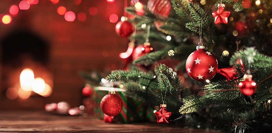 Feature image for Festive period opening times at the School