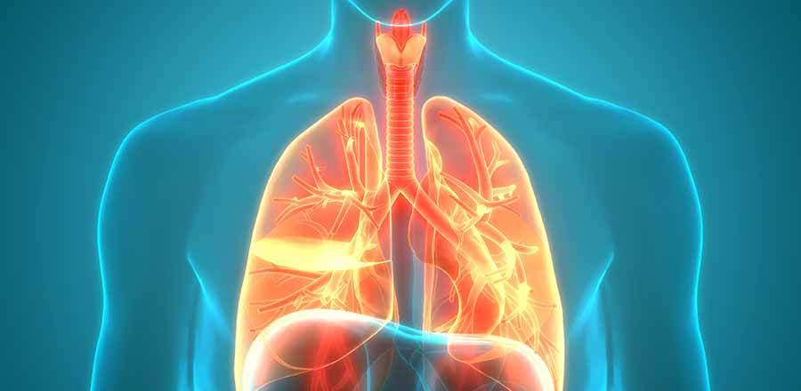 Feature image for New pilot Healthcare Science Cardiorespiratory Apprenticeship