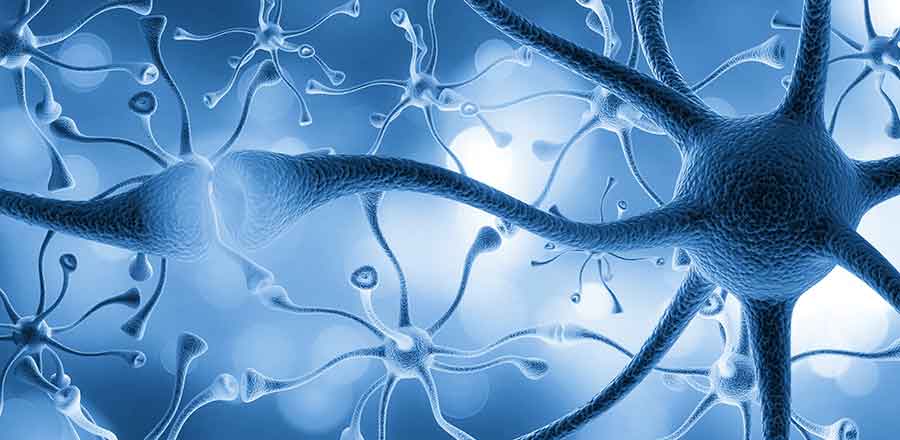 Feature image for Pathway now available for new STP in Intraoperative Neuromonitoring